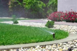 Irrigation